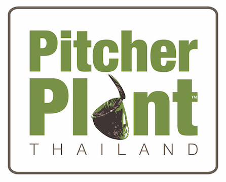 PitcherPlant